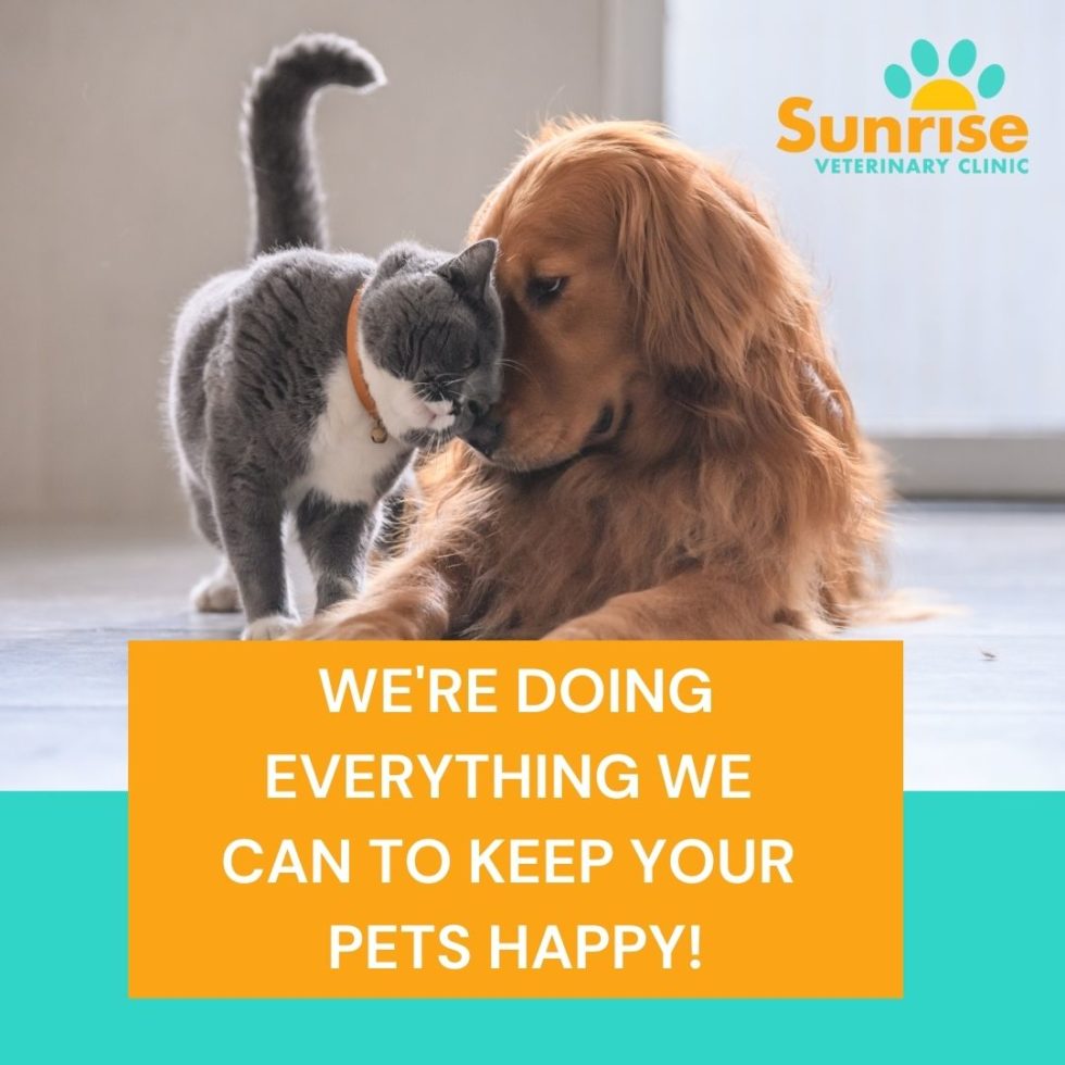 Veterinarian In Benton City, WA 99320 Sunrise Veterinary Clinic