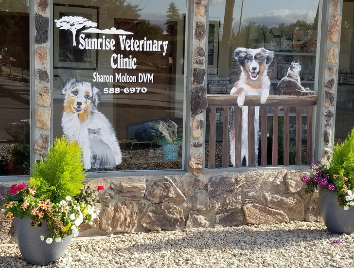 Veterinarian In Benton City, WA 99320 Sunrise Veterinary Clinic
