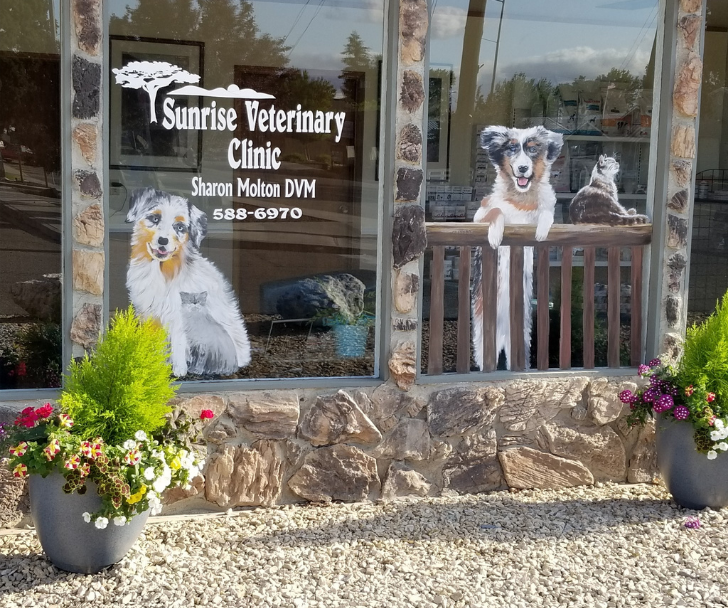 Veterinarian In Benton City, WA 99320 | Sunrise Veterinary Clinic